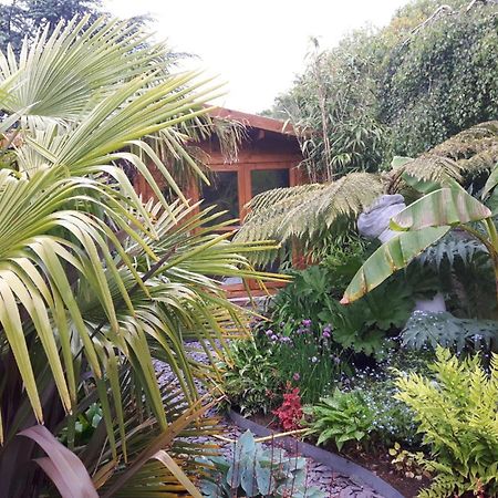 Cabin Set In A Beautiful Romantic Tropical Garden Sutton Coldfield Buitenkant foto