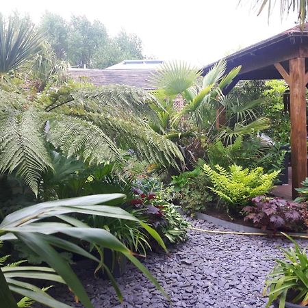 Cabin Set In A Beautiful Romantic Tropical Garden Sutton Coldfield Buitenkant foto
