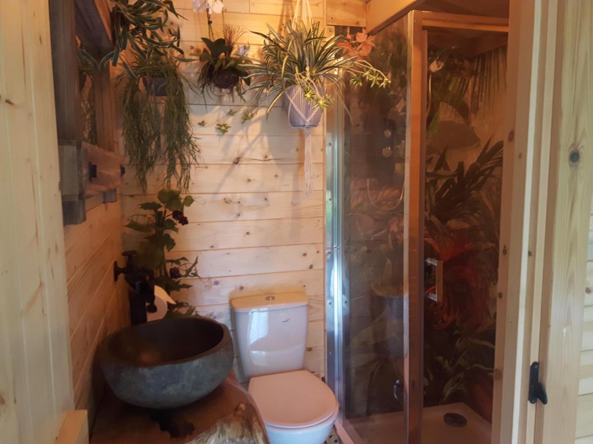 Cabin Set In A Beautiful Romantic Tropical Garden Sutton Coldfield Buitenkant foto