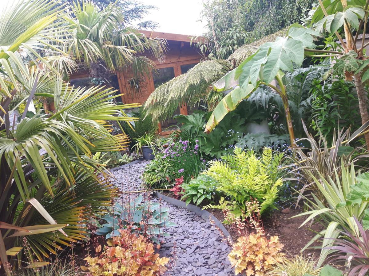 Cabin Set In A Beautiful Romantic Tropical Garden Sutton Coldfield Buitenkant foto