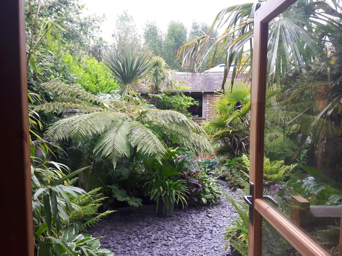 Cabin Set In A Beautiful Romantic Tropical Garden Sutton Coldfield Buitenkant foto