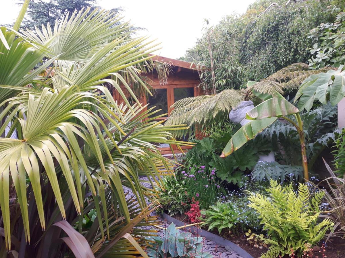 Cabin Set In A Beautiful Romantic Tropical Garden Sutton Coldfield Buitenkant foto