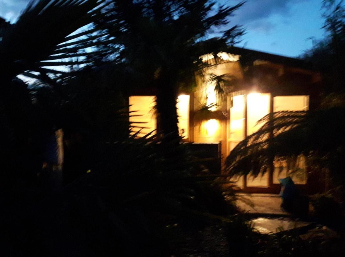 Cabin Set In A Beautiful Romantic Tropical Garden Sutton Coldfield Buitenkant foto