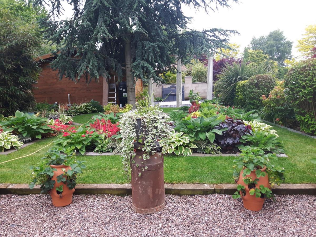 Cabin Set In A Beautiful Romantic Tropical Garden Sutton Coldfield Buitenkant foto
