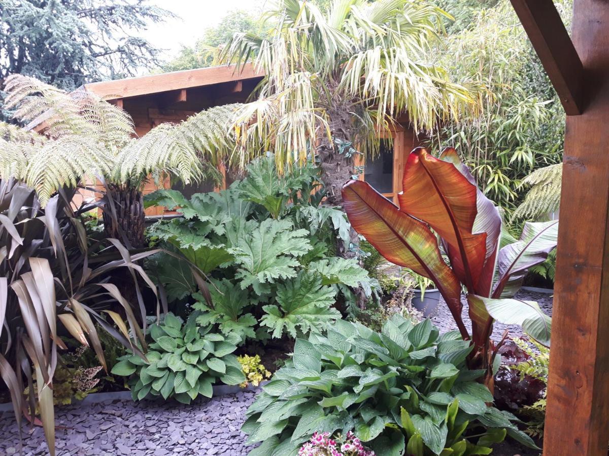 Cabin Set In A Beautiful Romantic Tropical Garden Sutton Coldfield Buitenkant foto